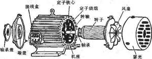 振動電機(jī)損壞的常見原因有哪些？